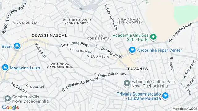 Mapa do bairro Vila Amélia, Sao Paulo - SP