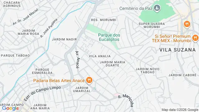 Mapa do bairro Vila Analia, Sao Paulo - SP